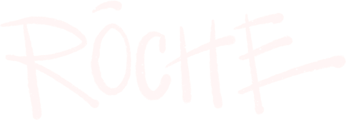 light logo
